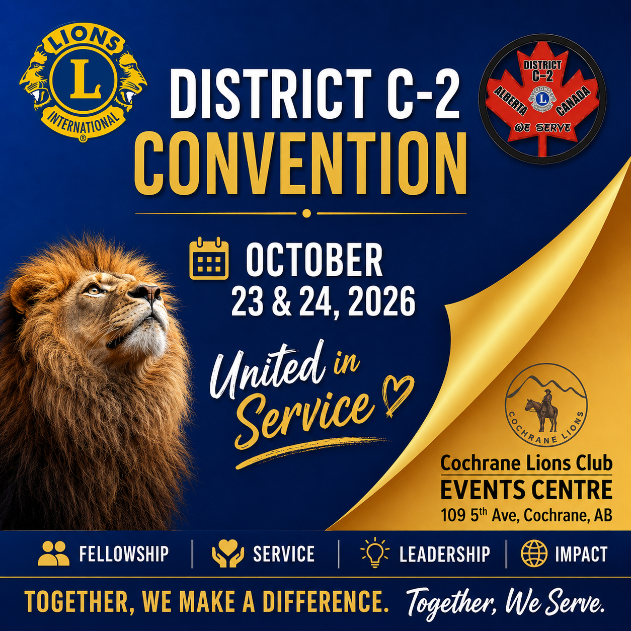District C2 poster for convention